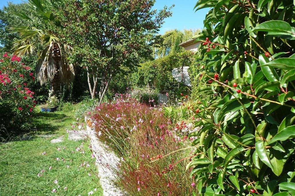 Le Mas De La Chouette Saint-Rémy-de-Provence Exterior foto