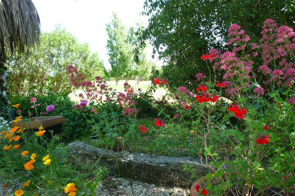 Le Mas De La Chouette Saint-Rémy-de-Provence Exterior foto