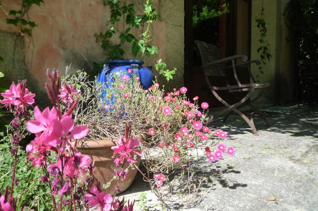 Le Mas De La Chouette Saint-Rémy-de-Provence Exterior foto